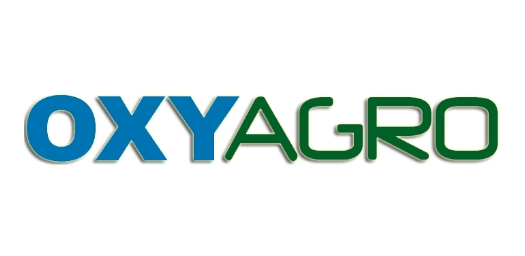 Grupo